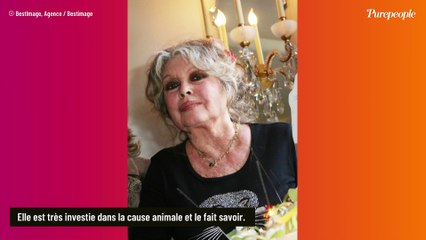 Brigitte Bardot : L’appartement parisien luxueux de son enfance, "un couloir reliait le vestibule aux quartiers des domestiques"