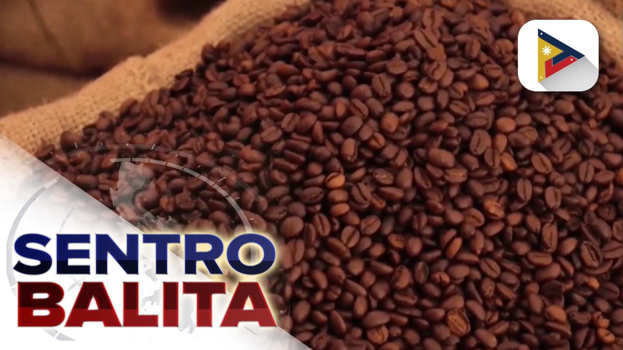 Industriya ng kape ng Sultan Kudarat, mas palalakasin pa; D.A., magbibigay ng de kalidad na coffee seedlings sa mga magsasaka | ulat ni Crisver Hinayon - PIA SOCCSKSARGEN