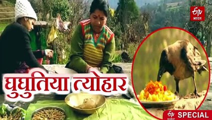 'पितरों' के दूत अब खतरे में, क्यों गायब हो रहे हैं कौवे? पढ़ें पूरी खबर