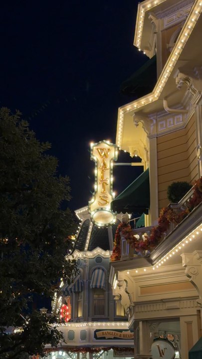 75 ans pour profiter de la magie Disney 🥰🏻