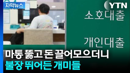 [자막뉴스] 역대급 불장인데 "왜 나만..." 개미 절반 이상 '오열' / YTN
