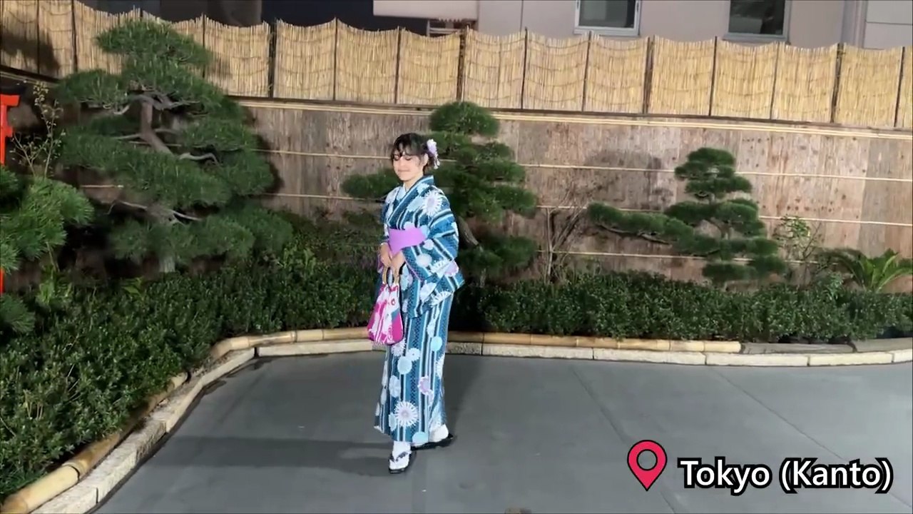 Réaliser son Rêve: visiter le JAPON 😍