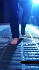 5-My wife is a mermaid!