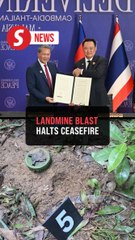 Landmine blast: Thailand suspends truce with Cambodia, will inform Washington