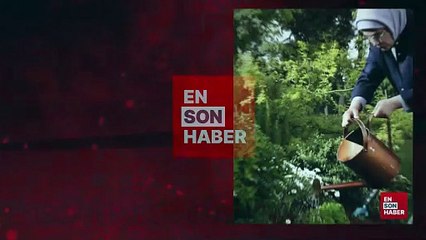 Emine Erdoğan'dan 'Milli Ağaçlandırma Günü' mesajı