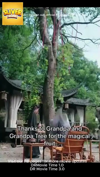 Zelda's Mystical Journey Full Short CDrama I Best Romance Love ShortFilms 2025