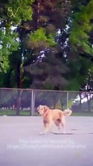 The Cure for a Broken Heart – Full HD Movie Uncut