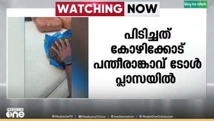 കോഴിക്കോട് പന്തീരാങ്കാവ് ടോൾ പ്ലാസയിൽ വെച്ച് പത്ത് കിലോ കഞ്ചാവ് പിടികൂടി