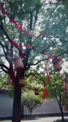 The Hidden Edge of Grace