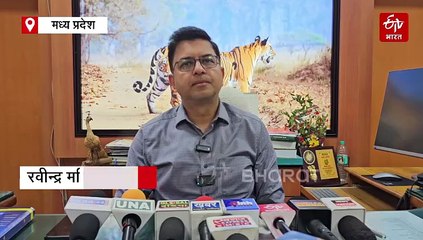 मंडला में जंगली हाथी हुए मदमस्त, रात भर धमाचौकड़ी मचाते खेतों में घुसे