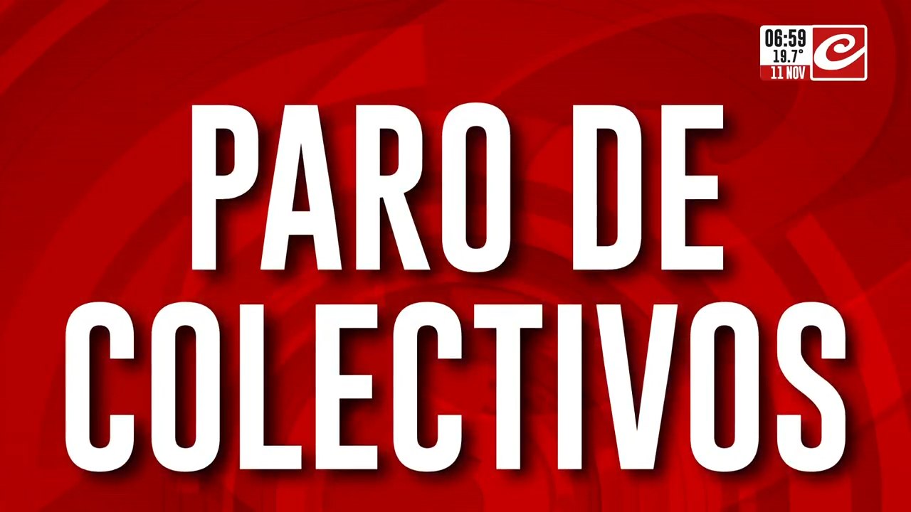 Sorpresivo paro de colectivos en el AMBA: ¿qué líneas no funcionan?