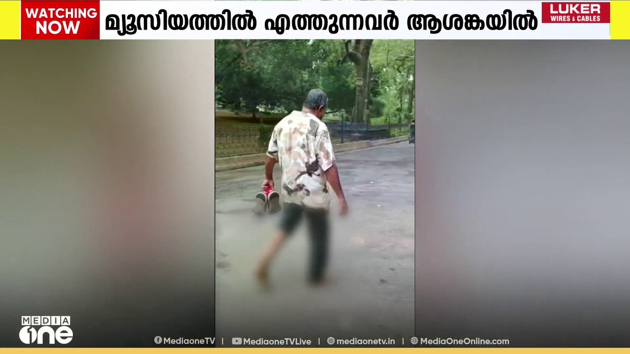 തിരുവനന്തപുരം മ്യൂസിയം വളപ്പിൽ തെരുവുനായ ആക്രമണ...