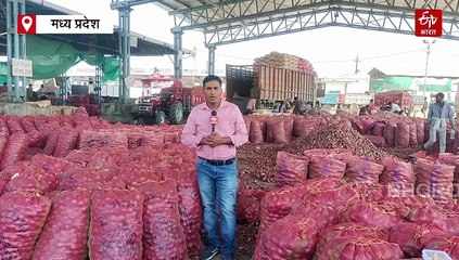 मध्य प्रदेश में प्याज की अकड़ पड़ी ढीली, मंडी में भाव सुन रो पड़े किसान