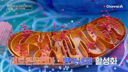 급격하게 약해져 버린 면역력?! 바늘로 찌르는 고통이 지속되는 대상포진까지 걸렸다!