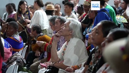 COP30: Brasil promove maior partipação indígena da história da conferência
