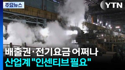 배출권·전기요금 부담 어쩌나...산업계 "인센티브 필요" / YTN