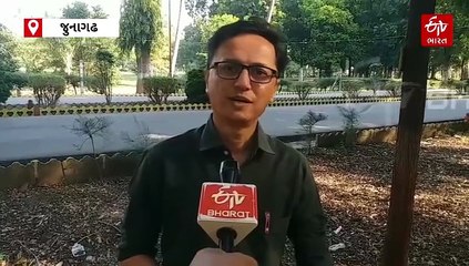 પીળી ડોકવાળી ચકલીનો થયો શિકાર અને જન્મ થયો વિશ્વના શ્રેષ્ઠ પક્ષીવિદનો! નામ હતું ડો. સલીમ અલી