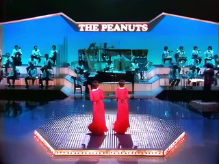 ｟1440+色彩｠ザ・ピーナッツ 【 恋のバカンス・情熱の花 】