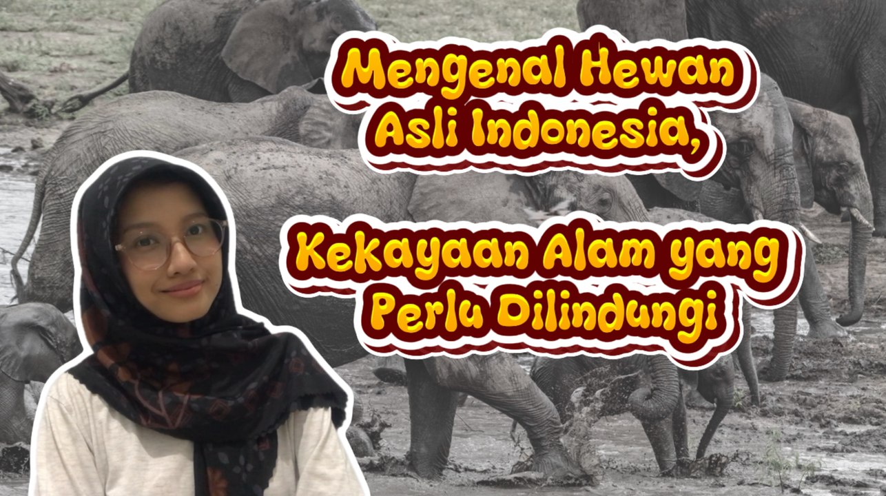 Mengenal Hewan Asli Indonesia, Kekayaan Alam yang Perlu Dilindungi-Serius Ini Hewan