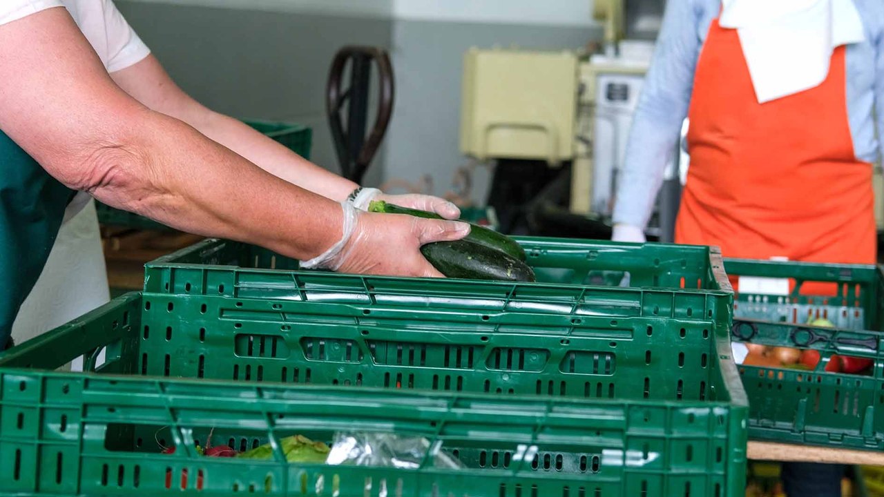 Teuerung und Kürzungen: Andrang bei Caritas-Lebensmittelausgaben wächst