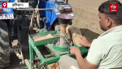 देश में टूटेगा गेहूं उत्पादन का रिकॉर्ड, अबकी 119 मिलियन टन फसल का अनुमान, पराली प्रबंधन में बढ़ी जागरूकता