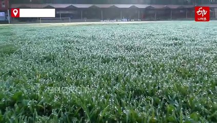 நீலகிரியில் பனிப்பொழிவு! விவசாயிகள் பாதிப்பு!