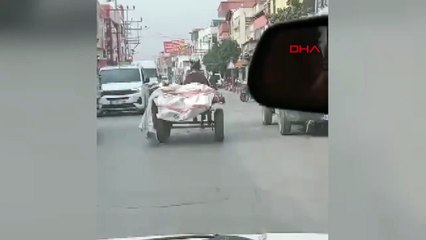 Adana'da at arabası, otomobile çarptı