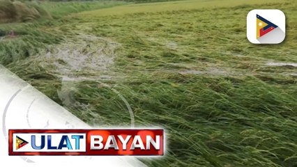 Bagyong #UwanPH, nag-iwan ng P142.29-M kabuuang pinsala sa agrikultura