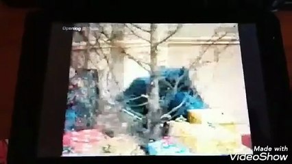 Closing to Christmas Eve on Sesame Street VHS 1987 (Random House Home Video Version)