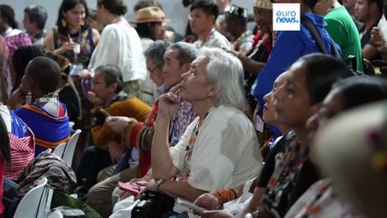 COP30: Brazil promotes largest Indigenous participation in history of the conference