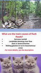 What are the main causes of flash floods