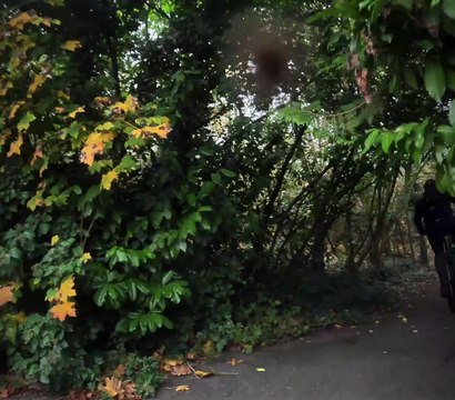 Vidéo VTT Sortie a 7 en Forêt de Saint Germain 😉