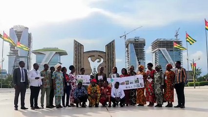 Table ronde économique des diaporas togolaise Africaine et Afrodescendante à Lomé en dec