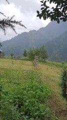 "Beyond the Roads, Beneath the Clouds — The Beauty of Halmat Valley"