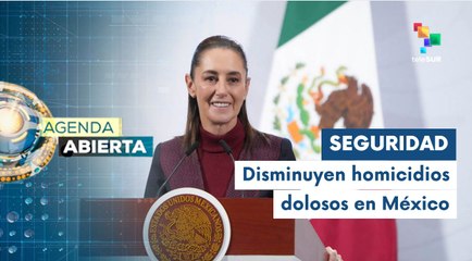 México presentó logros en materia de seguridad