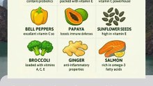 🛡️ 6 Categories of Immunity-Boosting Foods