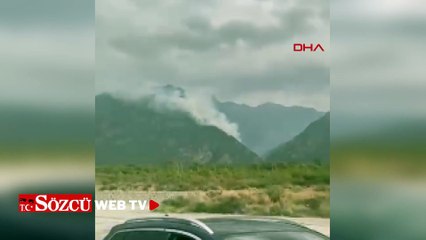 Hatay'da orman yangını
