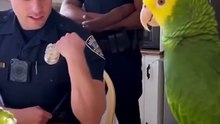 The parrot destroys the officer's confidence🦜🎬❤️⏰👨‍👨‍👧‍👧