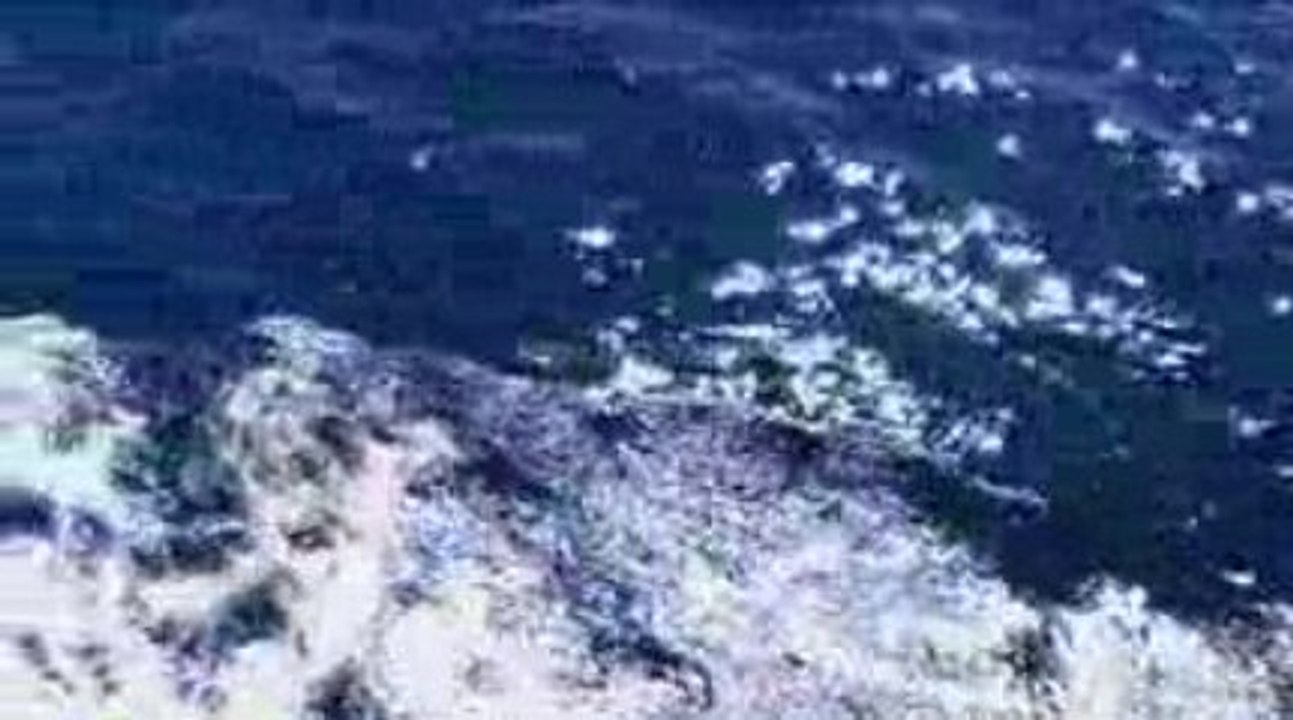 Narodna geografia - Michalus Sapiensis