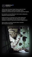 Evrimin Nükleer Serpintisi | Chernobyl Radyoaktif Mantarları #shorts