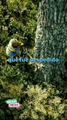 Amazon CANCELA el MMO de El Señor de los Anillos | Reporte Indigo