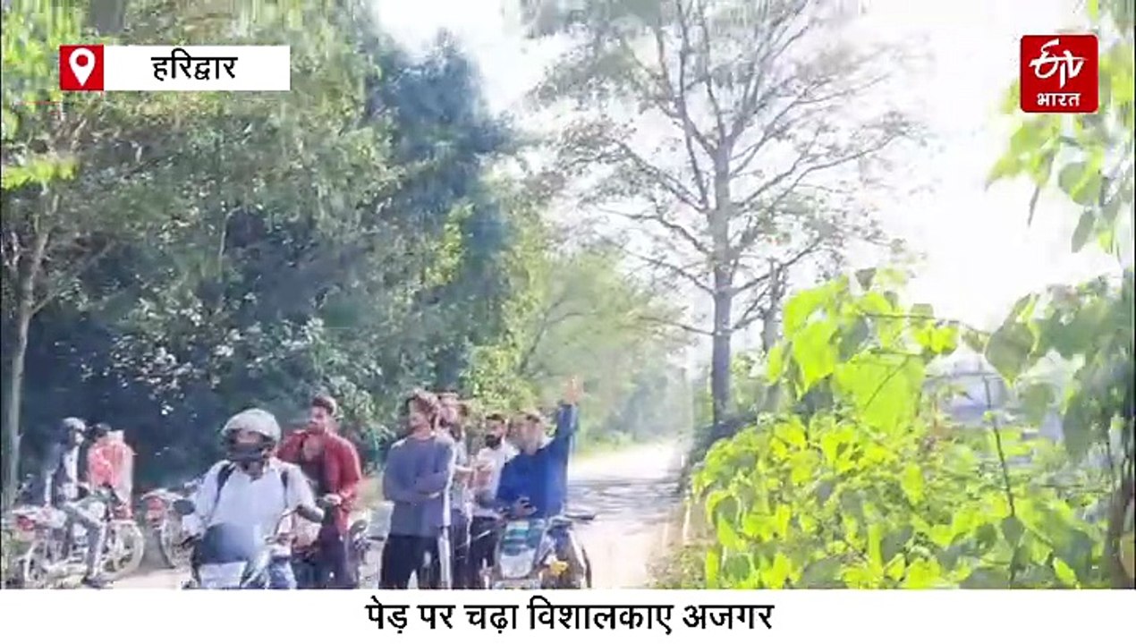 कॉर्बेट टाइगर रिजर्व में घुसा बाइक सवार, बाघ के...