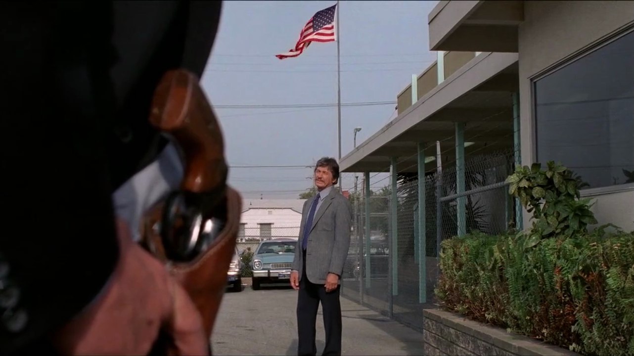 Death Wish 2 - Der Mann ohne Gnade (1982) #GanzerFilm #Deutsch #HD