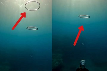 Video shows an impressive moment beneath the depths of the sea