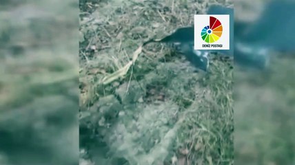 Gürcistan’da düşen askeri kargo uçağının parçalarına ulaşıldı