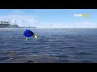 Buscando a Dory - Tomas Falsas