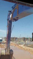 Il fait une petite blague à un collègue... Attention les abeilles