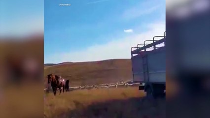 ویدئو سقوط هواپیمای نظامی ترکیه در گرجستان، نزدیک مرز آذربایجان