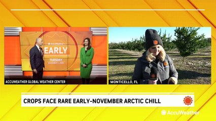 Florida crops face rare early-November arctic chill
