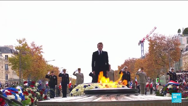 Armistice Day Commemorations: Why the French wear a 'Bleuet ?